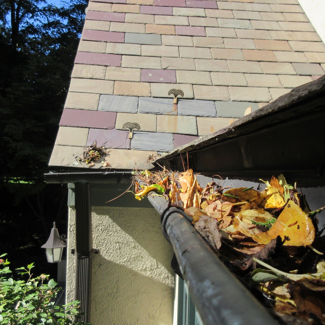 slate wood roof gutter cleaning 1